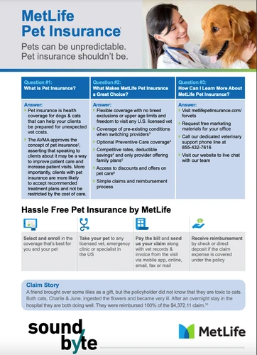 Happy dog with pet insurance in Indianapolis