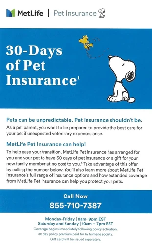 Different types of pet insurance plans for dogs in Indianapolis